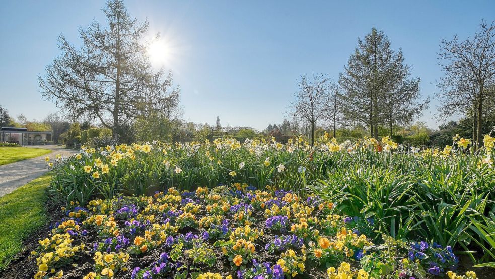 Die Pflanzen des Frühlings können im Park der Gärten angesehen werden. Foto: Park der Gärten