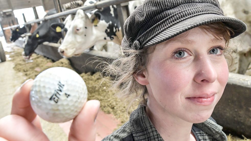 Maren Osterbuhr zeigt einen der Golfbälle, die sie in der Grassilage für ihre Kühe gefunden hat. Foto: Ortgies