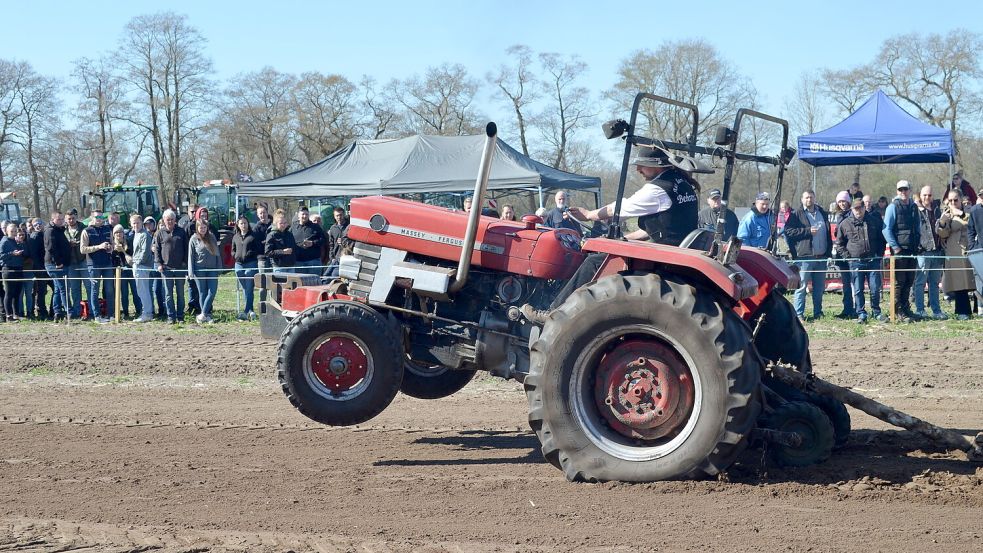 Burkhard Behrends aus Edewecht, der hier auf dem Traktor sitzt und den Bremswagen zieht, kam mit seiner Leistung aufs Siegertreppchen. In der Klasse bis 2,5 Tonnen kam er hinter seinem Neffen Eric auf den zweiten Platz. Foto: Fertig