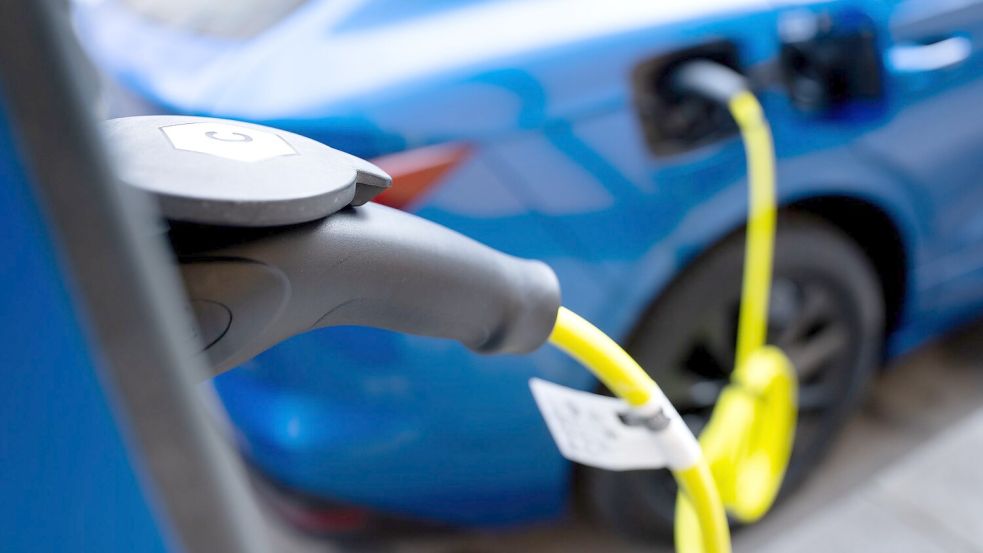 Der Kauf von E-Autos soll attraktiver werden. (Archivbild) Foto: Sven Hoppe/dpa