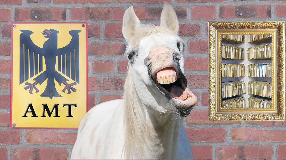 Da wiehert er fröhlich neben dem Behördenschild - der Amtsschimmel. Foto: IMAGO/imageBROKER/Kurt Amthor