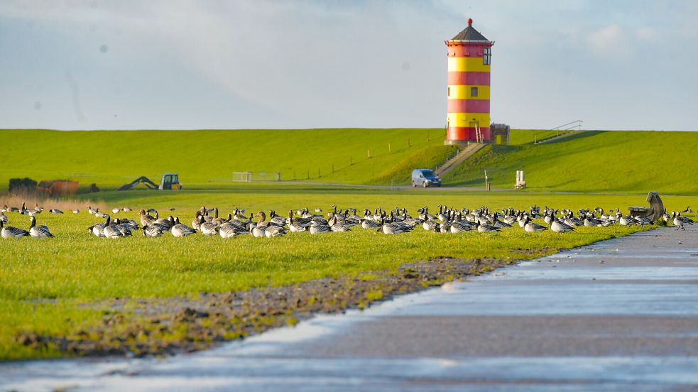 Ostfrieslands bekanntestes Wahrzeichen ist vor allem bei den Nordrhein-Westfalen beliebt. Foto: Archiv/Ortgies