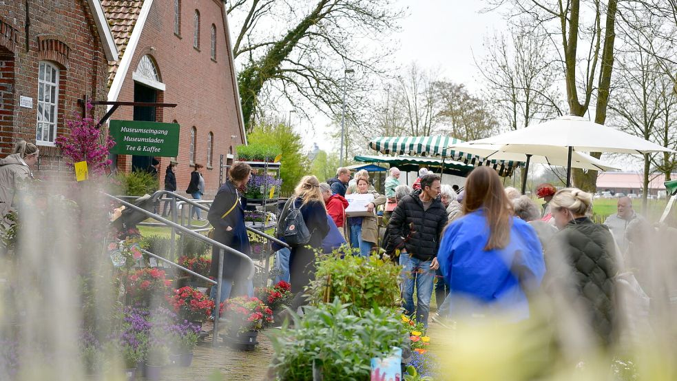 Bei der Neuauflage des Gartentags beim Landwirtschaftlichen Museum in Campen wurden die Besucher von einem Pflanzenmeer begrüßt. Fotos: Wagenaar