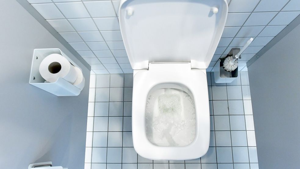 Während in Deutschland die Nutzung von Klopapier die Norm ist, wird in vielen anderen Ländern auf Dusch-WCs, Bidethandbrausen oder ein zusätzliches Bidet neben dem Klo gesetzt. (Archivbild) Foto: Ralf Hirschberger/dpa-Zentralbild/dpa