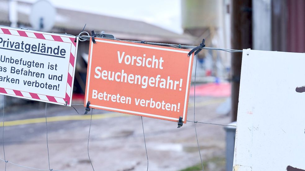 Nach dem Ausbruch der Maul- und Klauenseuche im brandenburgischen Hönow ist die Sperrzone mit Restriktionen für Landwirte aufgehoben (Archivbild). Foto: Annette Riedl/dpa