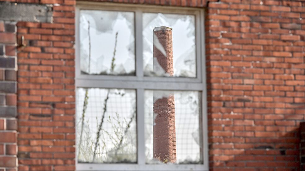Die ehemalige Ziegelei Reins verfällt seit Jahren. Foto: Ortgies