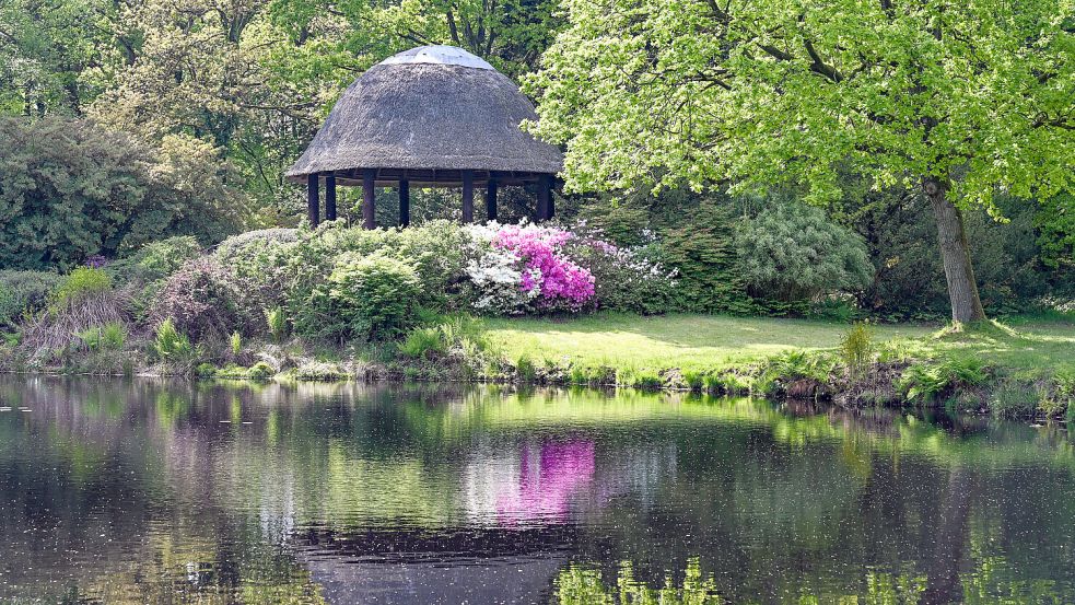 Der Lütetsburger Schlosspark ist besonders im Sommer beliebt bei Spaziergängern. Hier kann man gut entspannen. Foto: Ute Bruns