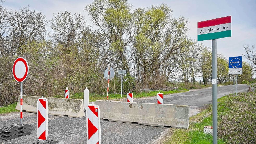Der Ausbruch der Maul- und Klauenseuche in Ungarn und der Slowakei sorgt in Deutschland für Unsicherheit (Archivbild). Foto: Csaba Krizsan/MTI/AP/dpa