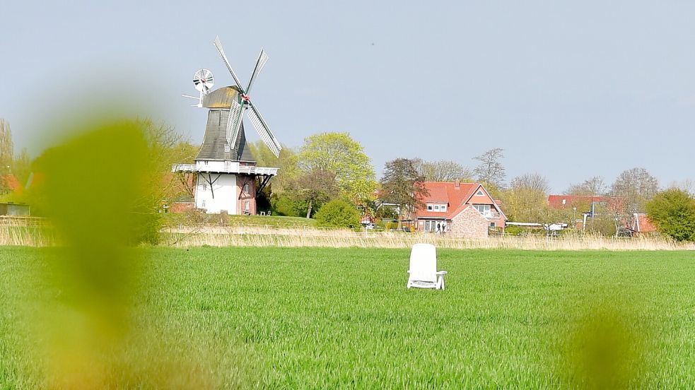 Der weiße Gartenstuhl im Feld vor den Greetsieler Zwillingsmühlen ist kein idyllischer Rastplatz – er dient der Abwehr von gefiederten Plagegeistern. Foto: Heinz Wagenaar