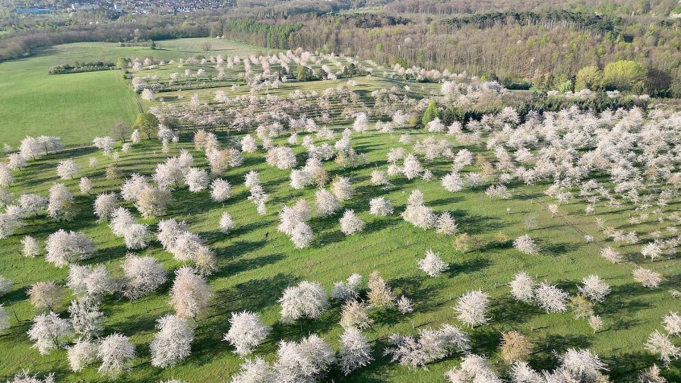 Sonne und Wolken wechseln sich am Ostermontag in Deutschland ab, sagt der Deutsche Wetterdienst. Foto: Matthias Bein/dpa
