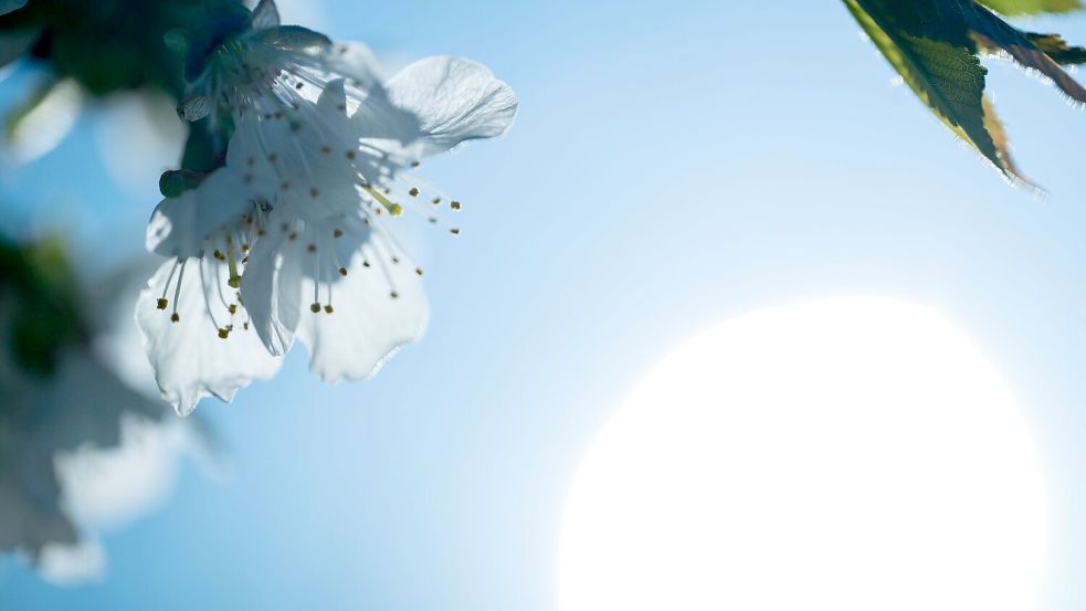 Vielerorts zeigt sich am Ostermontag auch immer wieder die Sonne. Foto: Pia Bayer/dpa