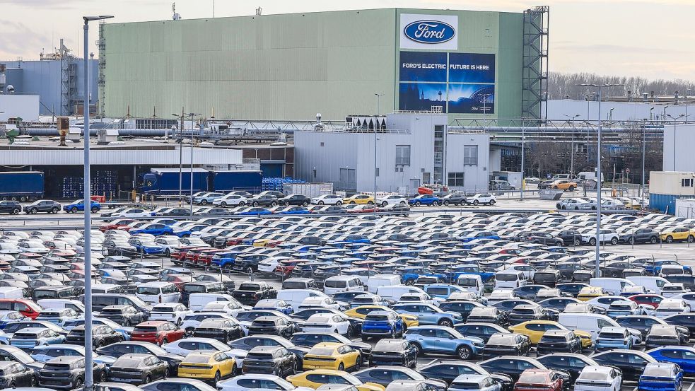 Da stehen sie, die neuen Elektroautos von Ford. Doch die Nachfrage nach ihnen ist schwach. Foto: Oliver Berg/dpa