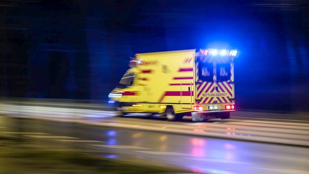 Nach einem Unfall auf der A19 konnten ein Vater und sein Sohn nicht mehr gerettet werden. (Symbolbild) Foto: Robert Michael/dpa