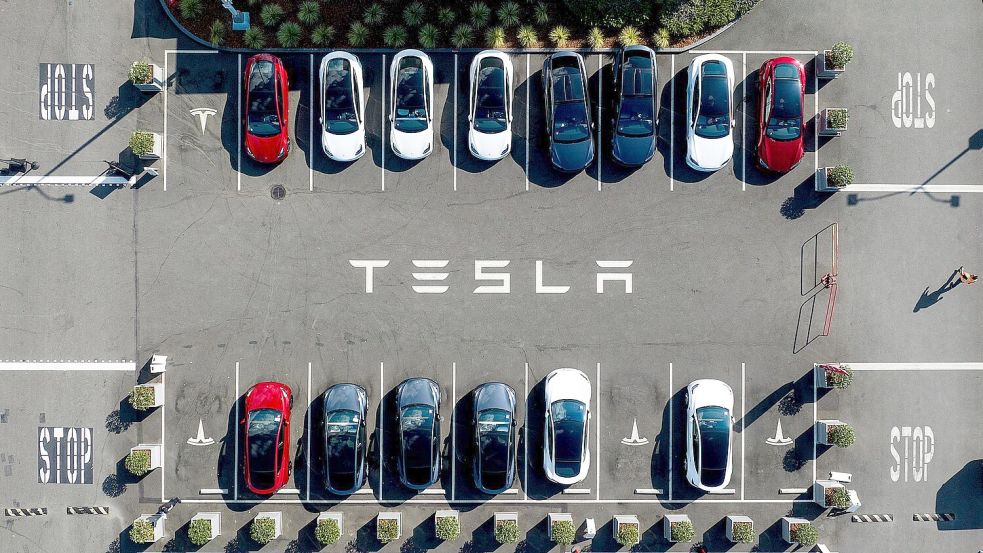 Musk sieht Teslas Zukunft in selbstfahrenden Autos - die Produktion eines Tesla-Robotaxis ohne Lenkrad und Pedale ist aber erst für 2026 geplant. (Archivbild) Foto: Noah Berger/AP/dpa
