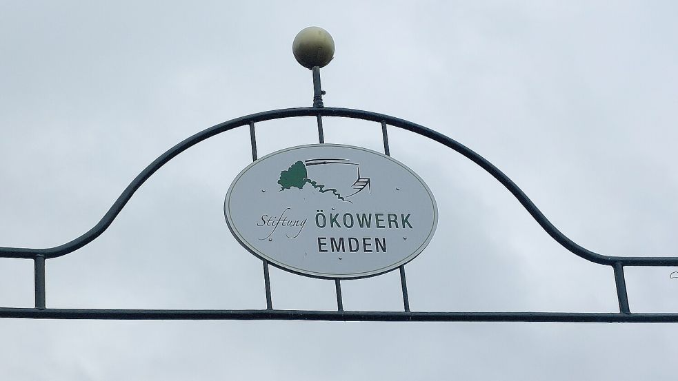 Das Ökowerk Emden wird an diesem Sonntag wieder voll sein: Es ist Pflanzenbörse. Foto: Mona Hanssen/Archiv