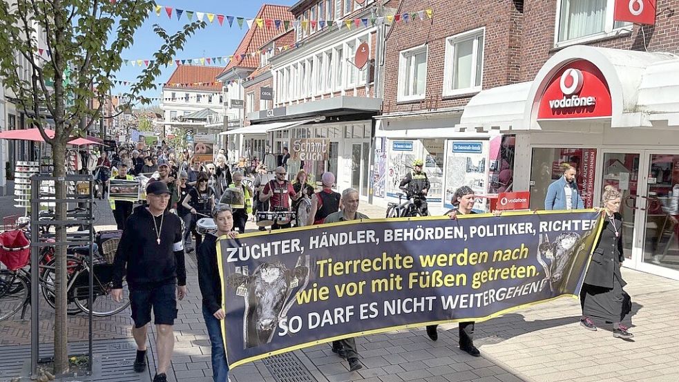 Die Demonstranten ziehen durch die Fußgängerzone und über den Innenstadtring zum Rathaus. Foto: Marion Luppen