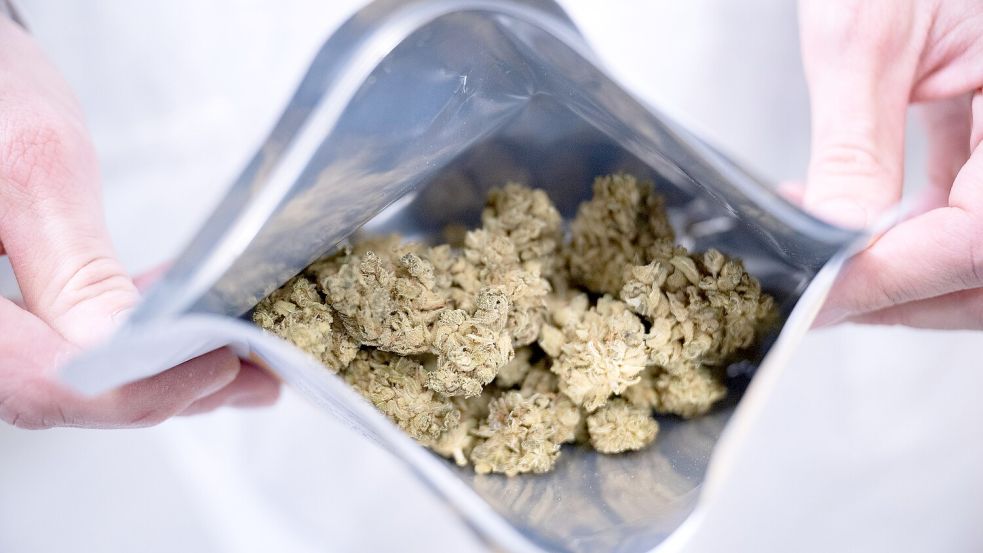 Medizinisches Cannabis wird immer mehr verschrieben, teils über dubiose Plattformen. Foto: Sebastian Gollnow/dpa