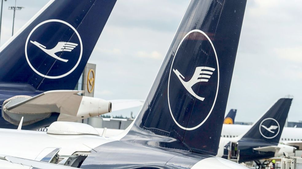 Die Lufthansa zählte im März trotz des Zollstreits mit den USA deutlich mehr Reisende aus den Vereinigten Staaten als ein Jahr zuvor. (Archivbild) Foto: Andreas Arnold/dpa