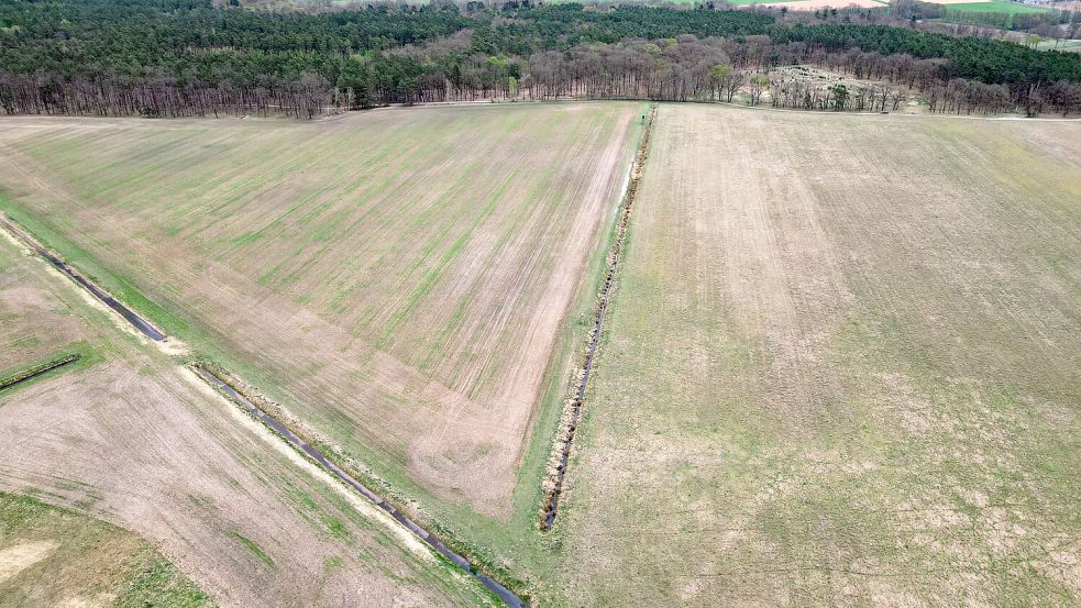 Mitte April und vertrocknetes Gras - Blick auf eine Wiese im Landkreis Oberhavel in Brandenburg (Aufnahme mit einer Drohne). (Archivbild) Foto: Soeren Stache/dpa