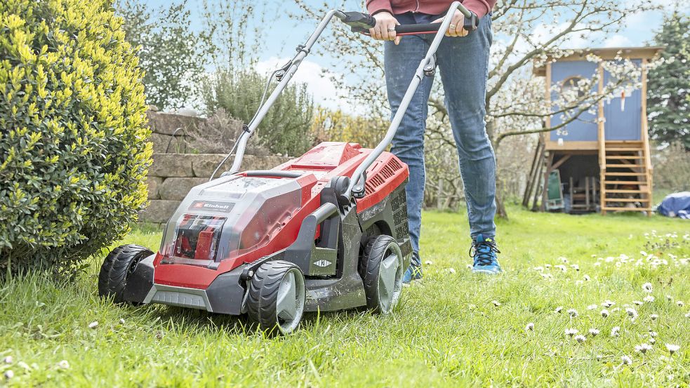 Im Mai den Rasen wachsen lassen: Dazu raten Anhänger der Initiative „No Mow May“. Foto: dpa/Michael Mueller-Muenker
