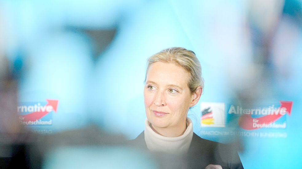 AfD-Chefin Alice Weidel: Mit 152 Mitgliedern stellt ihre Partei die zweitgrößte Fraktion im Bundestag. Foto: dpa/Kay Nietfeld