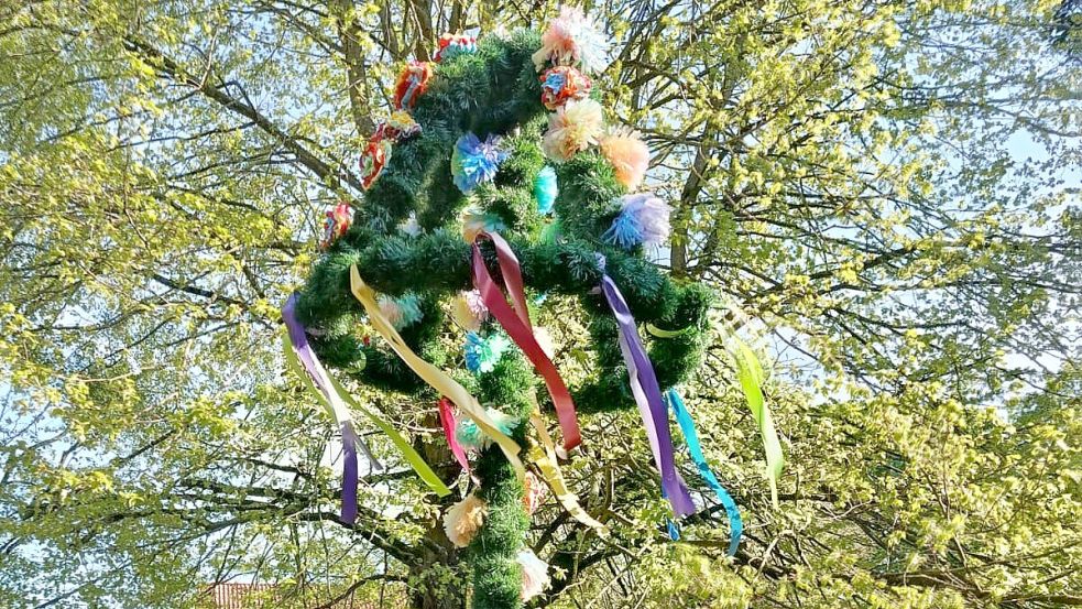 Viele Maibäume in der Region werden Jahr für Jahr bunt geschmückt. Das hier ist der Baum der Mitarbeiter und Bewohner der Pflegeeinrichtung Haus am Zingel in Emden Borssum. Der Schmuck wurde in den vergangenen Tagen selbst gebastelt. Foto: privat