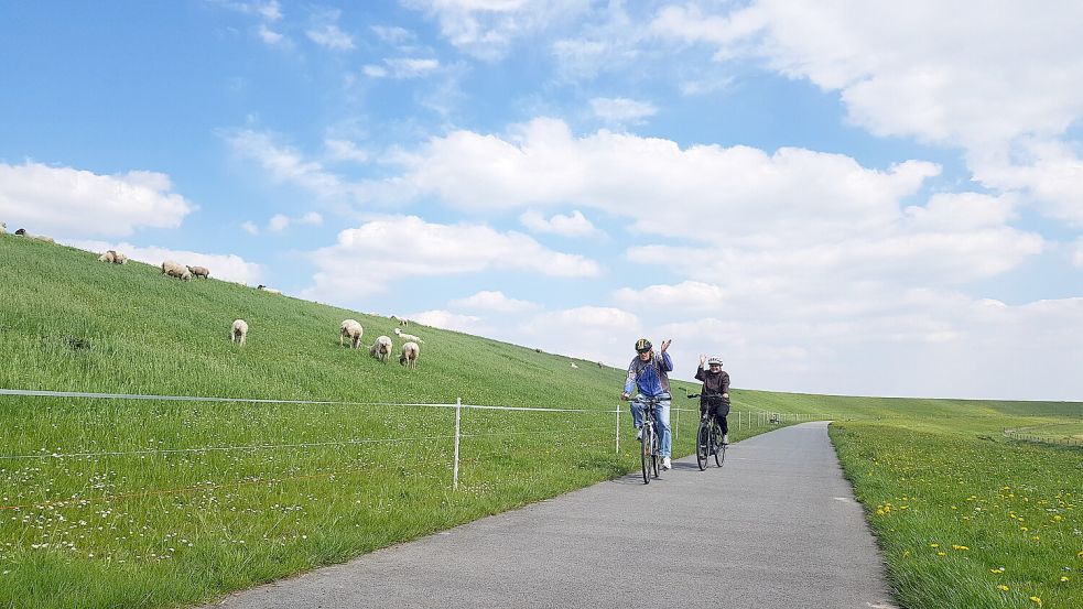 Eine Radtour am Deich in Jemgum ist beliebt. Foto: Gettkowski/Archiv