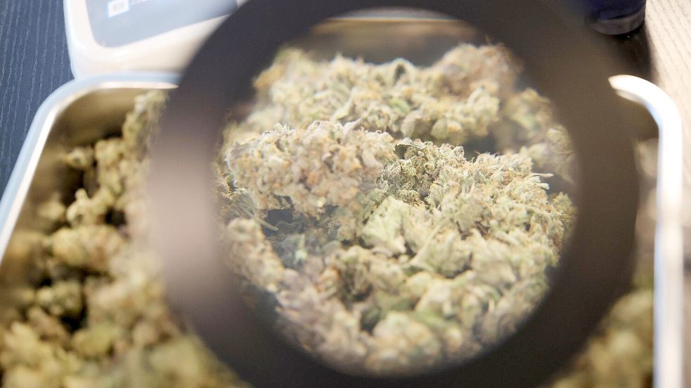 Der Zoll hat bei einer Autokontrolle in Huchting 4,5 Kilo Cannabis sichergestellt. Foto: Bodo Schackow / dpa