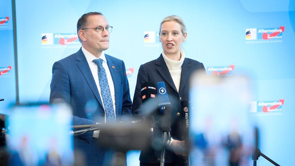 Alice Weidel und Tino Chrupalla stehen gemeinsam an der Spitze von Partei und Fraktion. (Archivfoto) Foto: Bernd von Jutrczenka/dpa