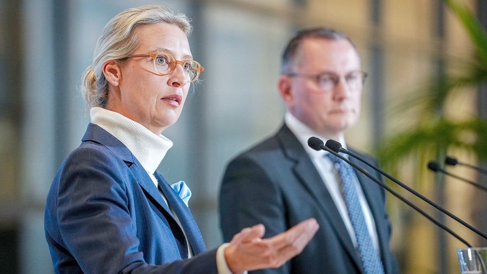 Holten 20,8 Prozent der Zweitstimmen bei der Bundestagswahl: die AfD-Parteichefs Alice Weidel und Tino Chrupalla. Foto: dpaKay Nietfeld