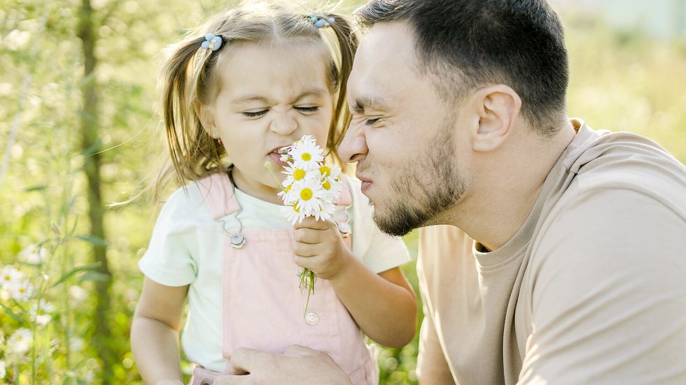 Playful father and daughter smelling daisies model released property released, SEAF00195 Foto: Imago/Westend61