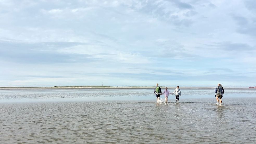 Wattwanderungen sind wunderbar: Doch sicherer sind sie, wenn ein zertifizierter Wattführer dabei ist, der einschätzen kann, wie viel Zeit bleibt, bis das Wasser gefährlich hoch steht. Foto: Hanz