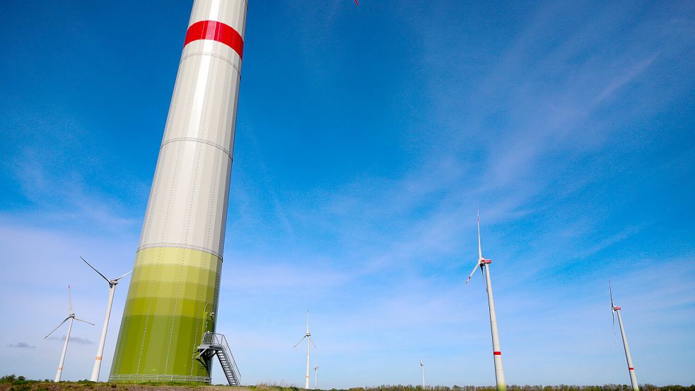 Am Fuße der westlichsten Windkraftanlage soll ein rund zehn Hektar großer Solarpark entstehen und die Infrastruktur des Windparks dafür mitgenutzt werden. Foto: Romuald Banik