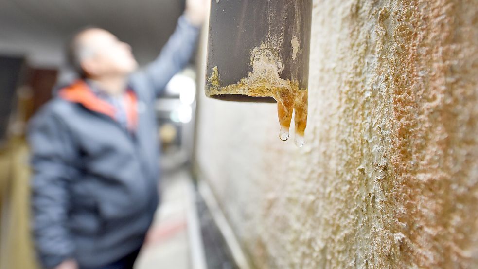 Symbolbild aus Mannheim: Ein Mann steht vor einer feuchten und sanierungsbedürftigen Mauer. Foto: Uwe Anspach/dpa