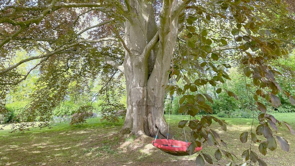 Die Nestschaukel ist auch bei den Kindern im Dorf ein großer Hit. Foto: Carla Ludwigs