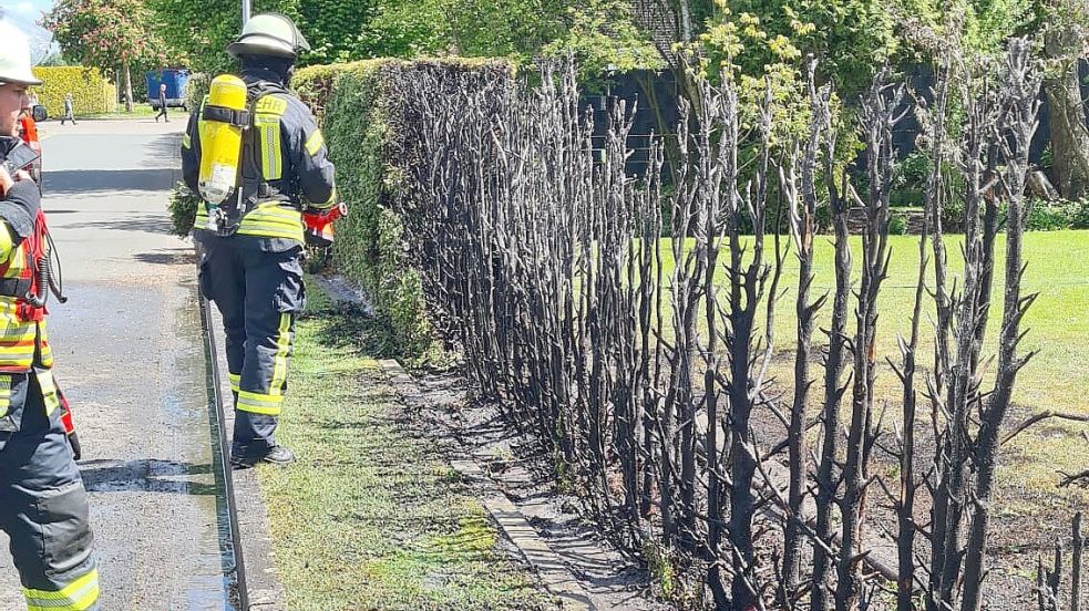 Ein Teil der Hecke wurde durch das Feuer zerstört. Foto: Feuerwehr/Ludger Böning