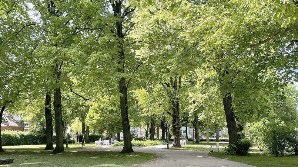 Auf dem Burgplatz, heute ein Stadtpark, stand früher einmal eine Burg.