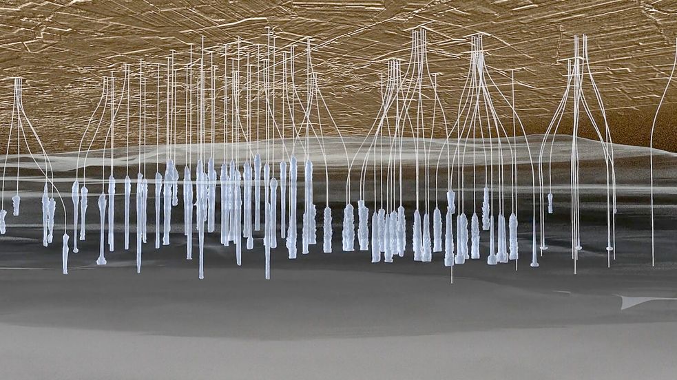 Diese Grafik zeigt die ausgehöhlten Kavernen im Salzgestein unter dem Etzeler Boden. Die dünnen Striche sind die Verbindungsleitungen zur Erdoberfläche, durch die das Gas ein- und wieder ausgespeichert werden kann. Grafik: Storag Etzel
