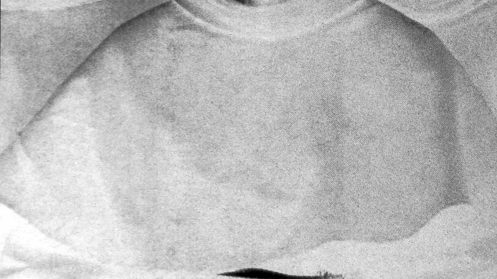 Damit ein Familienvater überlebt, ging Pater Maximilian Kolbe freiwillig in den Tod. Foto: IMAGO / United Archives International