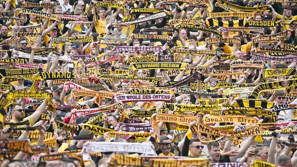 Dynamo Dresden kehrt in die 2. Liga zurück. Foto: Robert Michael/dpa