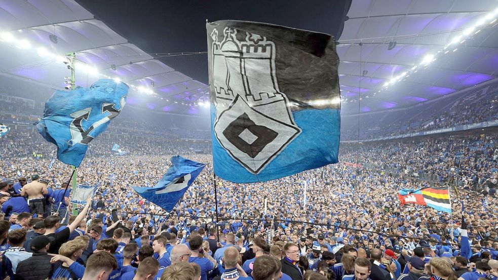 Platzsturm nach Aufstieg: HSV-Fans auf dem Rasen des Volksparkstadions. Foto: Christian Charisius/dpa