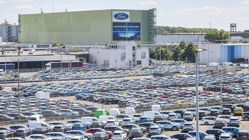 Das Angebot an neuen Ford-Autos ist groß, doch die Nachfrage ist gering. Foto: Oliver Berg/dpa