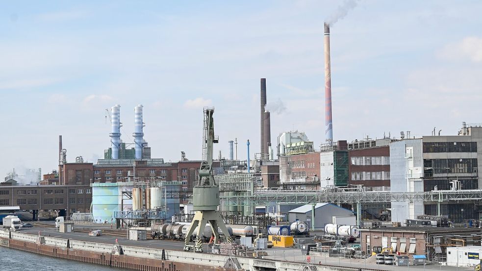 Bayer will seinen Standort im Frankfurter Industriepark Höchst aufgeben (Archivbild) Foto: Arne Dedert/dpa