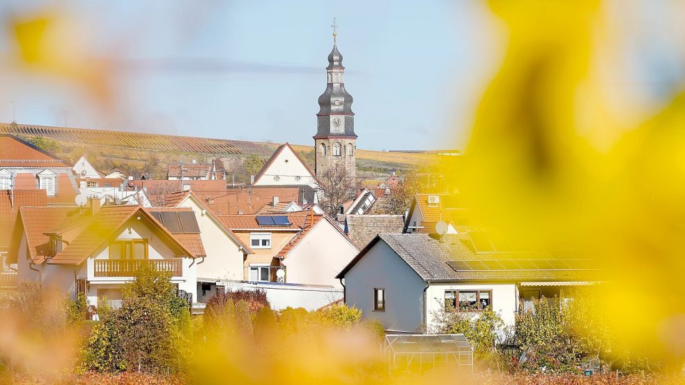 Der kleine Winzerort Kallstadt an der Weinstraße ist der Heimatort von Trumps Vorfahren. (Archivbild) Foto: Uwe Anspach/dpa/dpa-tmn