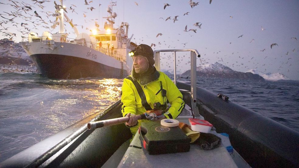 Das Gesamtsiegerbild zeigt den Biologen Audun Rikardsen, der in einem norwegischen Fjord Wale mit Sendern ausstattet. Foto: Emma Vogel/Nature/dpa