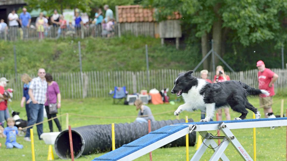 Im Tierpark in Nordhorn ist ein Hundetag. Foto: Tierpark Nordhorn/Frieling