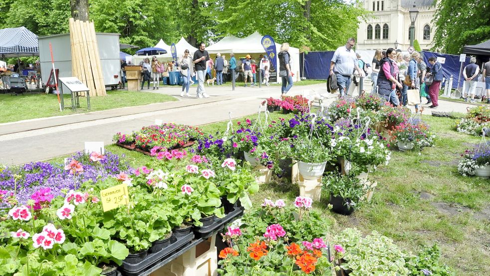Bei der Evenburg dreht sich am Wochenende alles um den Garten. Archivfoto: Bodo Wolters
