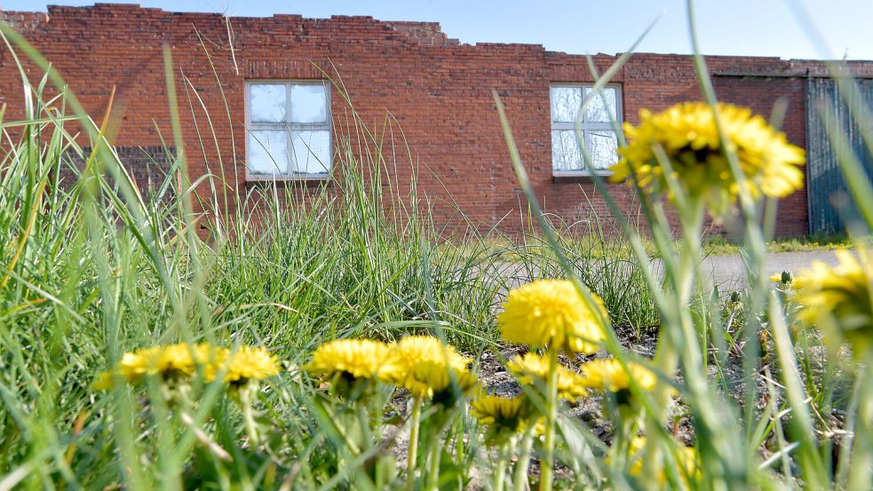 Neue Wohnungen, Geschäfte, Gastronomie und Tourismuseinrichtungen sollen in den kommenden Jahren auf dem brachliegenden Areal entstehen. Foto: Klaus Ortgies