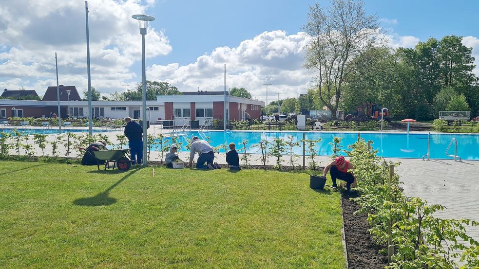 Der Förderverein des Freibads Borssum hat die Grünanlagen vorbereitet für die Saisoneröffnung. Foto: Förderverein Freibad Borssum