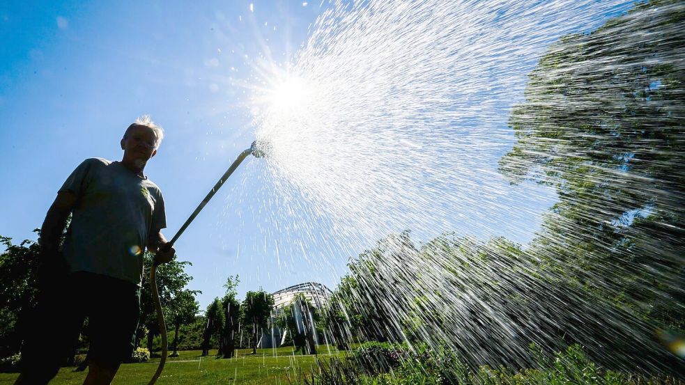 Auch in manchen Gärten ist der Wasserbedarf schon groß. Foto: Julian Stratenschulte/dpa